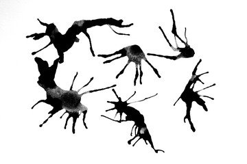 silhouettes of insects on white background