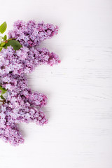 lilac branches on a white wooden background, frame of lilac branches. place for the test