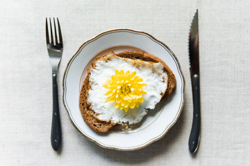 Conceptual image of having a fried egg toast for breakfast. Yellow chrysanthemum flower instead of yolk served on a white plate