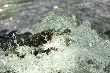 Water Rapids in Old Town Occoquan, Virginia