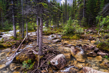Moraine Lake nature scenery inside Banff National Park, Alberta, Canada