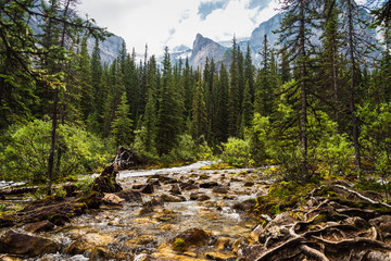 Moraine Lake nature scenery inside Banff National Park, Alberta, Canada