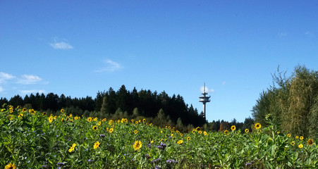 Der Fernmeldeturm bei Hollenbach im Landkreis Aichach Friedberg