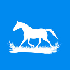 horse silhouette. Vector illustration.