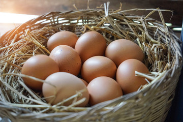 The eggs lay on straw in the coop/ eggs in the coop