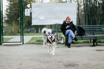 young woman with her dog