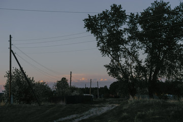 Obraz premium A village road with a big tree and a sunset sky before nightfall | KOROVYAKOVA, SVERDLOVSKAYA OBLAST - 9 MAY 2020.
