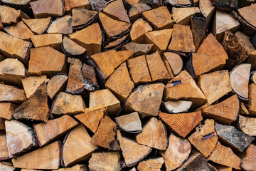 pile of cutted wood, close up