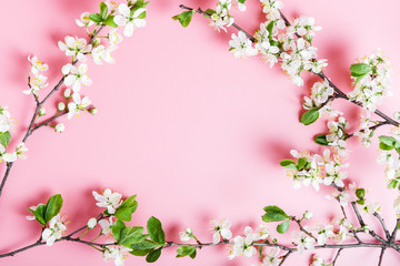 Obraz na płótnie Canvas Frame of spring cherry tree branches with white flowers on a pink background. Copy space for text