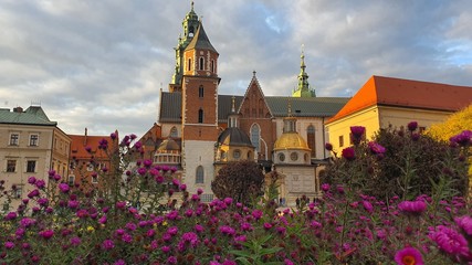 Wawel Castle framed by Purple Flowes