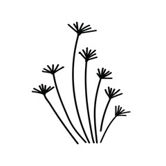 stylized grass. grass. doodle grass. grass ink. herb logo. handwritten vector stylized bush isolated. Doodle vector grass, herb, green-fodder illustration , bush, shrub,simple