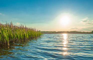 Fototapeta na wymiar landscape view of the beautiful Kamenka river with thicket of reeds in the Zhytomyr region of Ukraine