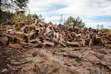 Trees in the sawmill are stacked in bags for sell. Stacks of firewood. Preparation of firewood for the winter. A heap of woodpile. Chopped wood. Firewood.Pile of wood logs ready for winter
