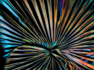 Colorful bright abstract lines