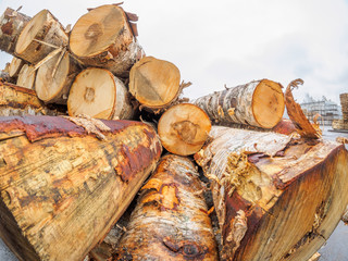 Birch logs.