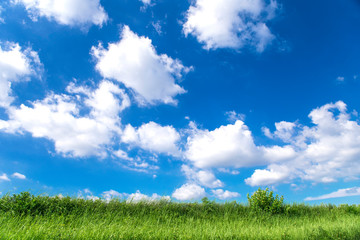 Poster 青空と雲の背景素材 暑中見舞い テンプレート Nikkel Art