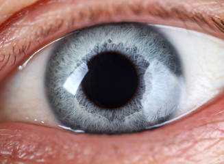 Male left blue grey coloured eye extreme closeup