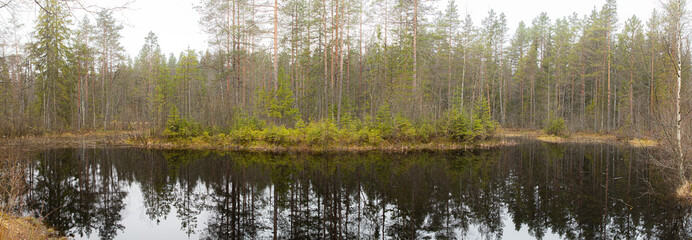 Panorama Small dark forest lake in early spring