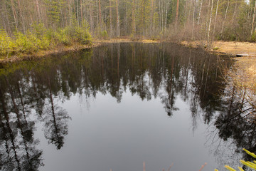 Fototapeta na wymiar Small dark forest lake in early spring