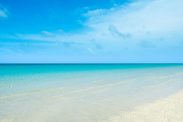 Fototapeta na wymiar Beautiful landscape of clear turquoise ocean and sandy beach in Saadiyat island