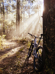 Obraz na płótnie Canvas Buxton Mountain Bike Park in Australia