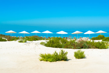 Beautiful landscape of clear turquoise ocean and sandy beach in Saadiyat island © Myroslava