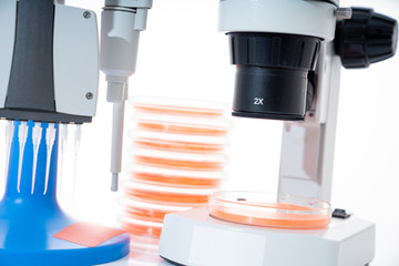microscope, petri dishes and pipette stand by microbiological laboratory