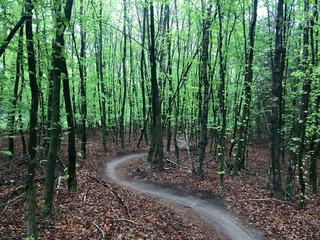 Hardenberg MTB trail
