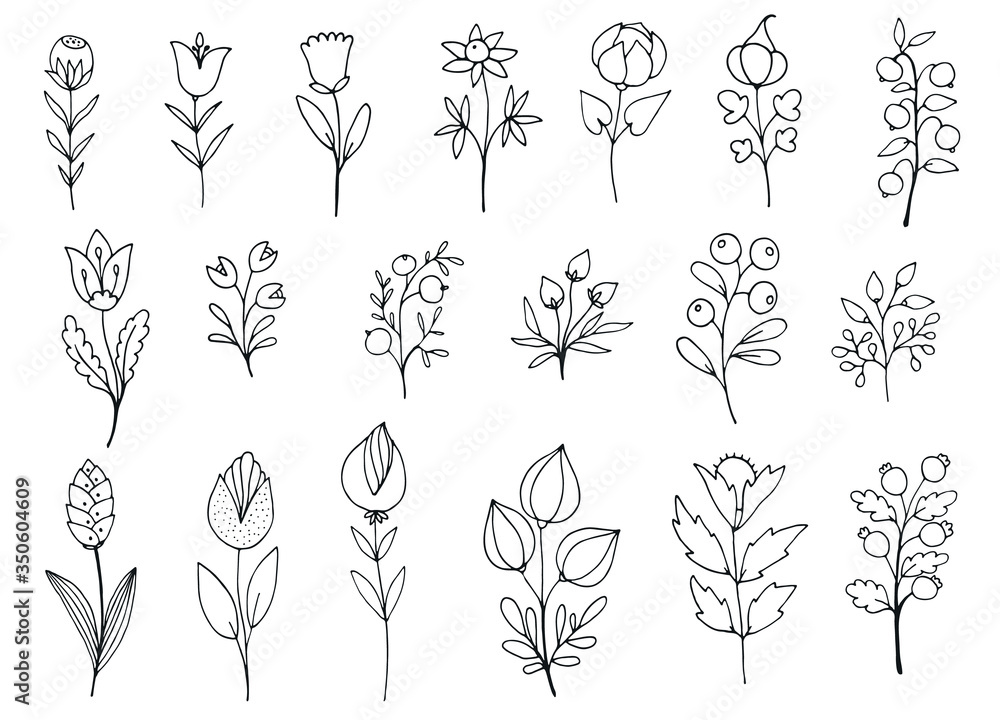 Wall mural set of hand drawn doodle branches and flowers