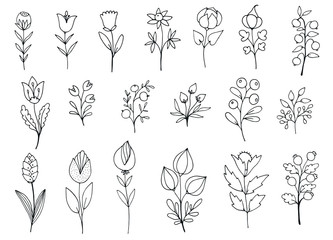 set of hand drawn doodle branches and flowers