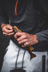 Nature and landscape, photography, fishing.