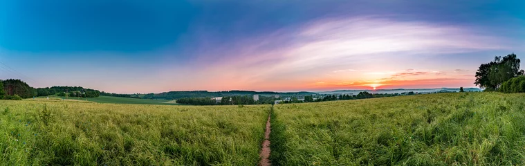 Fotobehang Rural road and field , spring fresh green grass and blue sky, panoramic landscape © luchschenF