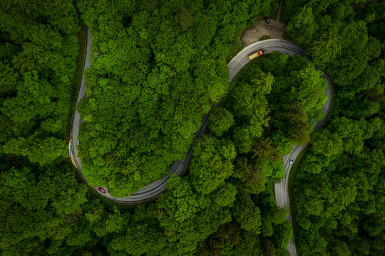 Wonderful Green Forest With A Curvy Road And Cars From A Top View Drone Shot, Aerial Of An S Curve Background Which Implicates Fun Of Driving Or Take A Trip Through The Nature.