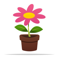 Potted flower vector isolated illustration