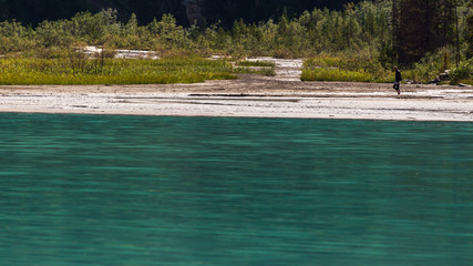 Fototapeta na wymiar lake louise nature scenery inside Banff National Park, Alberta, Canada