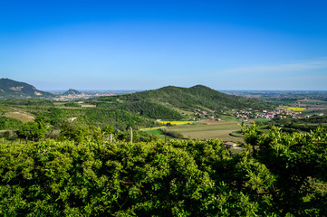 Fototapeta na wymiar Panoramic view of the fields and vineyards on the Euganean Hills, near Este, Padova, Italy.