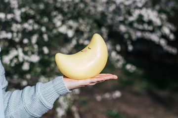A girl holds a lamp in her hands. in the shape of the moon. Against the background of a blossoming tree. Flowers of the apple tree. Ramadan. Ramadan Mubarak. Eid Mubarak. crescent