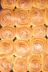 Freshly baked traditional sweet cinnamon rolls, swirl