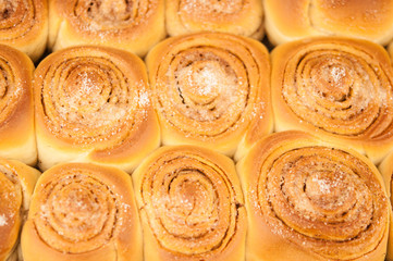 Freshly baked traditional sweet cinnamon rolls, swirl