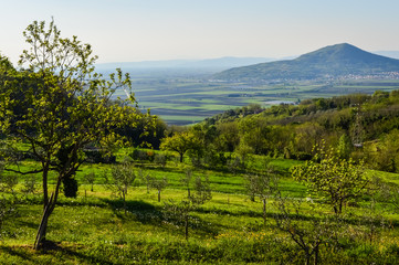 Panoramic view of the fields and vineyards on the Euganean Hills, near Este, Padova, Italy.