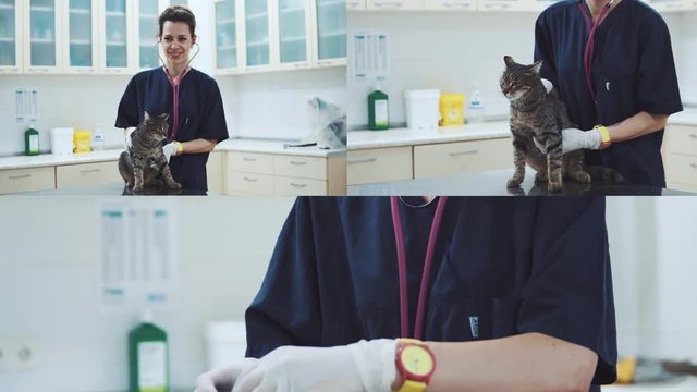 The Women is caring the cat - Wet clinic services