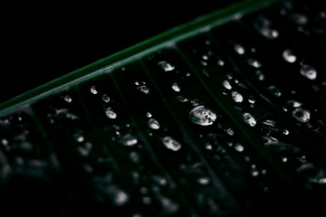 gotas de lluvia