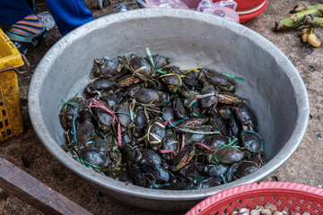 Crabs Psar Orussey Market, Phnom Penh