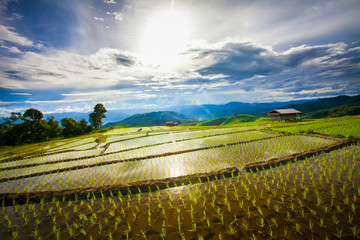 Beautiful landscape view of rice terraces and cottages in the rainy season and mountain in the background,Pa bong Pieng,Mae Jam, ChiangMai,Thailand