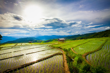 Beautiful landscape view of rice terraces and cottages in the rainy season and mountain in the background,Pa bong Pieng,Mae Jam, ChiangMai,Thailand