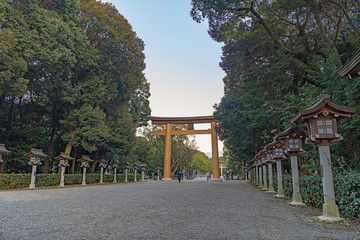 橿原神宮 夕暮れの表参道