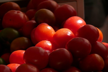 red tomatoes with sunlight