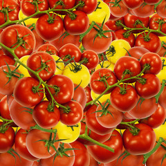 Fresh red and yellow vine ripe tomatoes