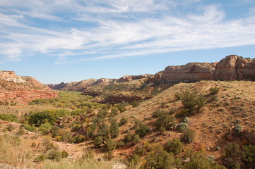 life finds a way in the red rock canyon 