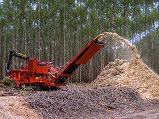 Logging Equipment Forest Machine